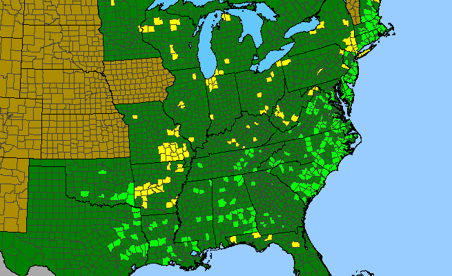 The range of Potamogeton pulcher